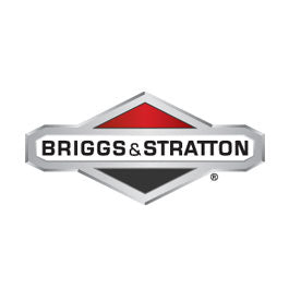 Briggs &amp; Stratton