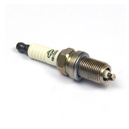 Spark Plugs &amp; Ignition Parts