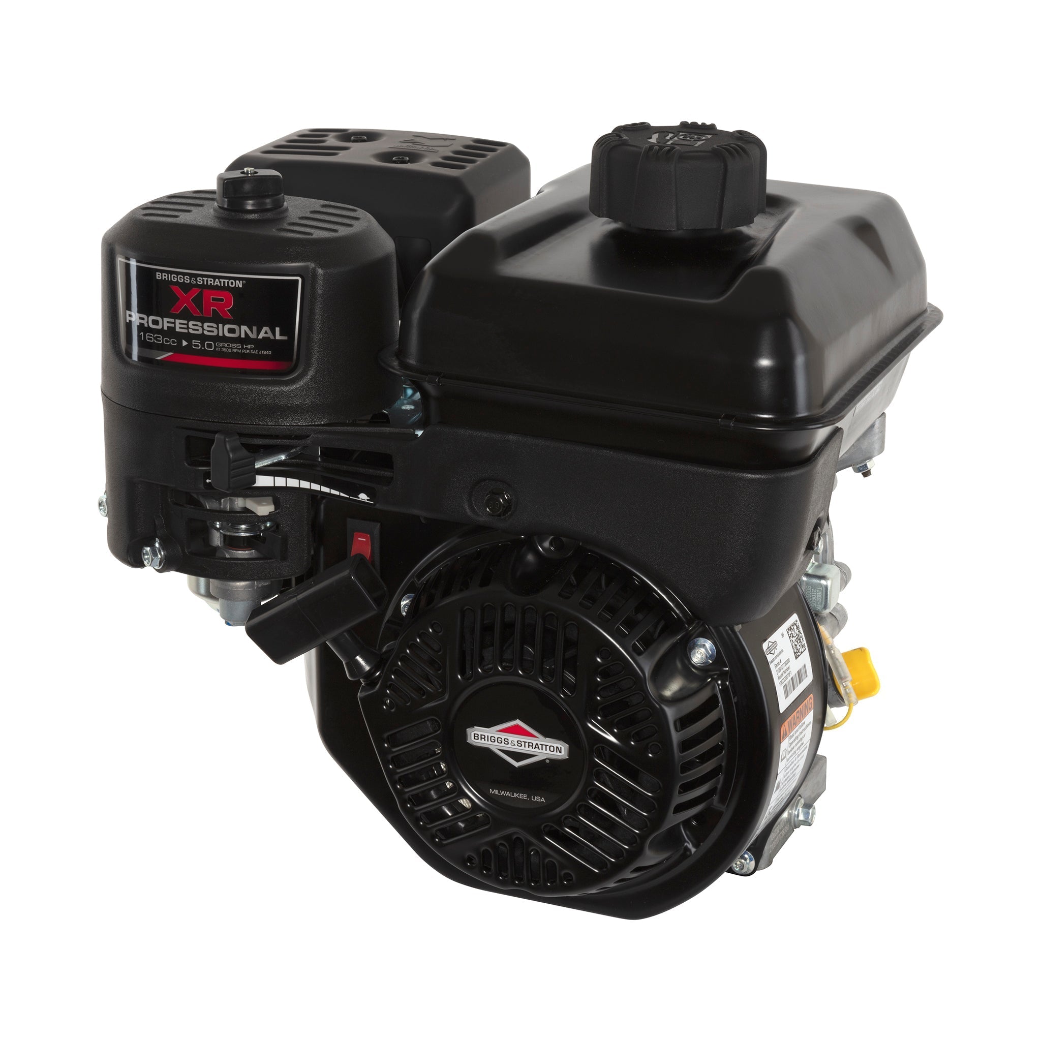 Briggs & Stratton 106232-0079-F1 XR Series 5 HP 163cc Horizontal