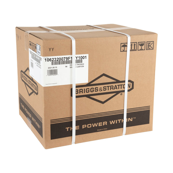 Briggs & Stratton 106232-0079-F1 XR Series™ 5.0 HP 163cc Horizontal Shaft Engine