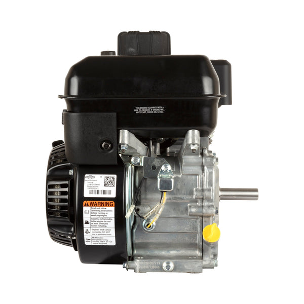 Briggs & Stratton 106232-0079-F1 XR Series™ 5.0 HP 163cc Horizontal Shaft Engine