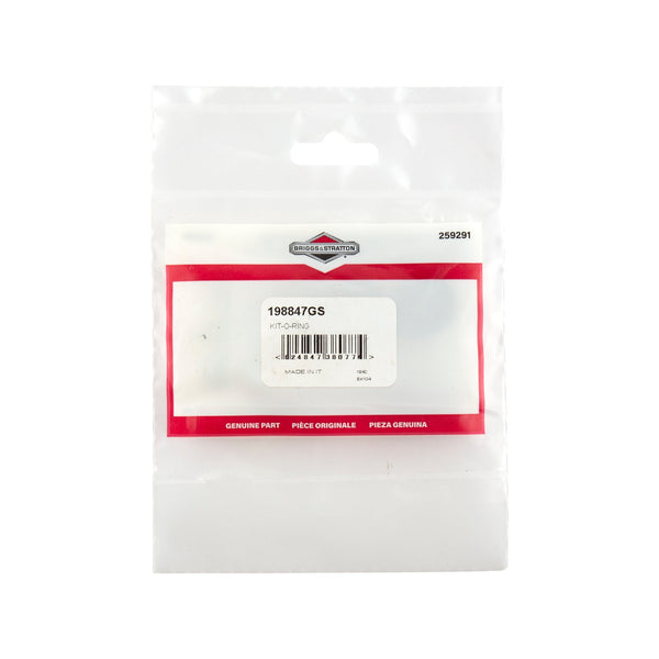Briggs & Stratton 198847GS O-Ring Kit
