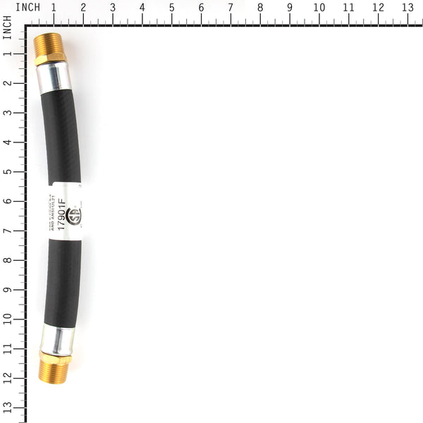 Briggs & Stratton 202295GS NG/LPG Flex Hose