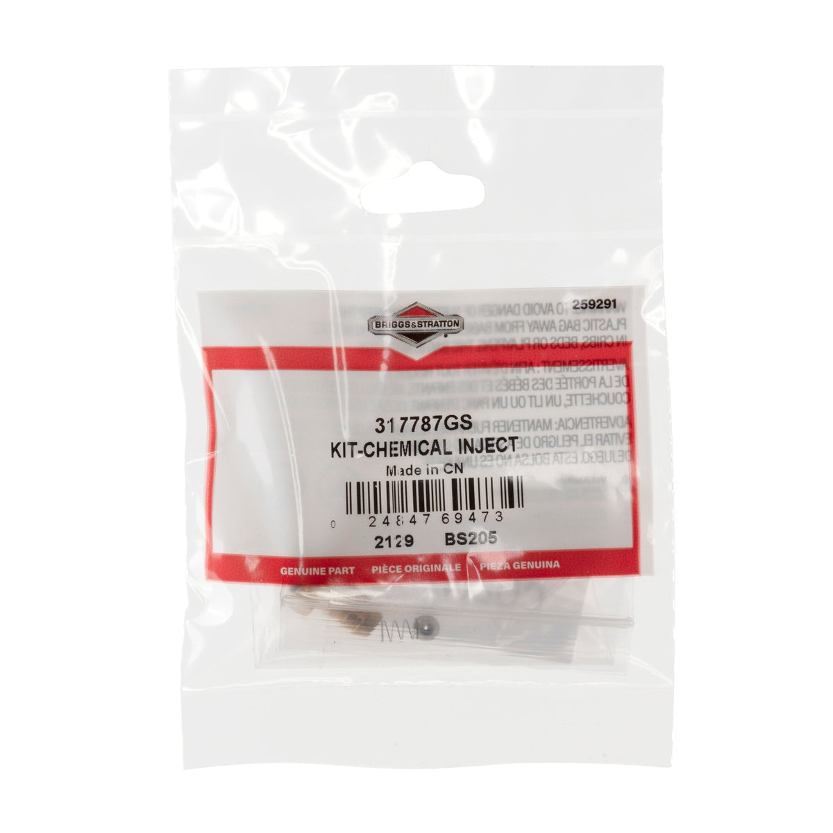Briggs & Stratton 317787GS Chemical Inject Kit