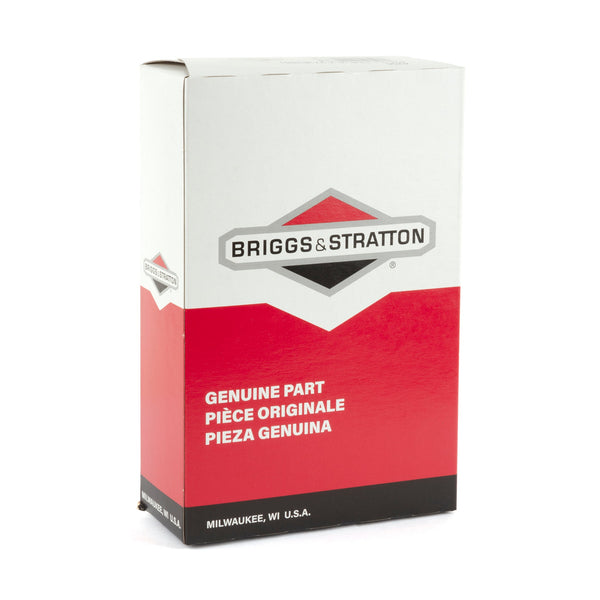 Briggs & Stratton 4256 P/C-FILTER (6 X 273638S)
