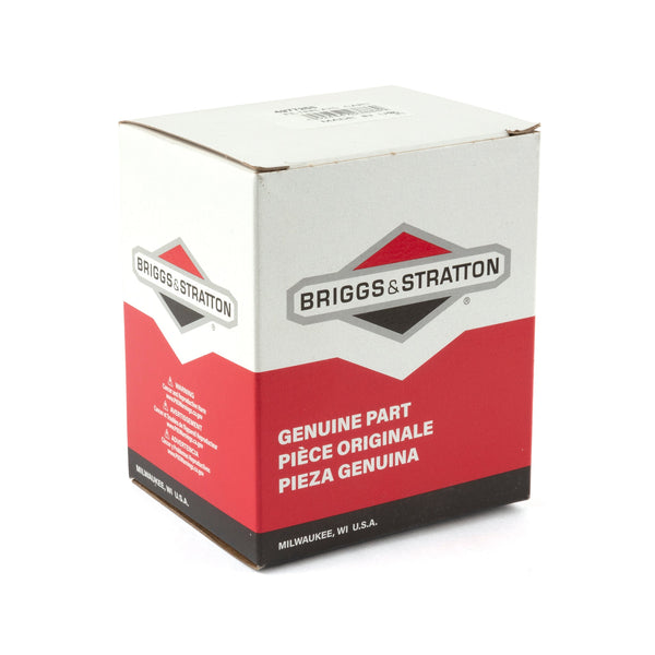 Briggs & Stratton 4197 A/C - Filter (4 x 497725S)