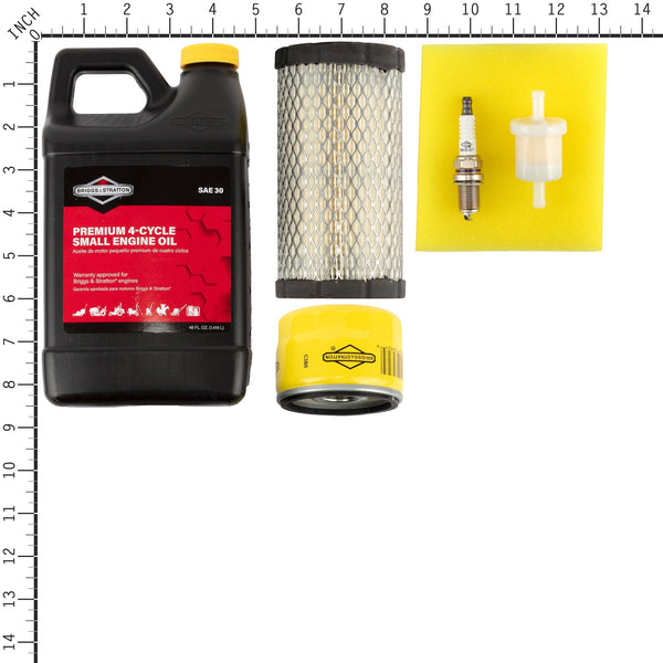 Briggs & Stratton 5135B Maintenance Kit