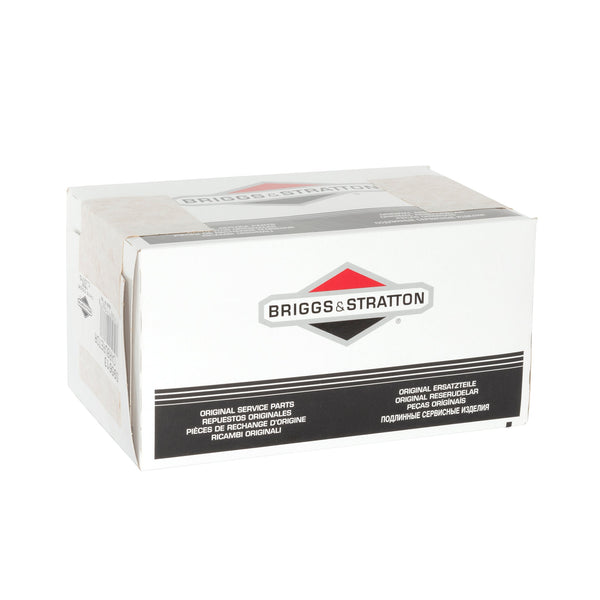 Briggs & Stratton 595613 Carburetor
