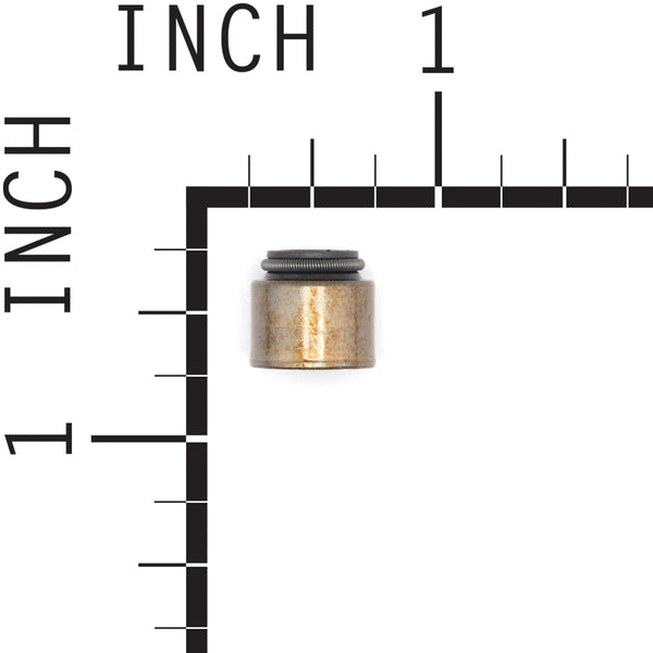 Briggs & Stratton 690968 Valve Seal