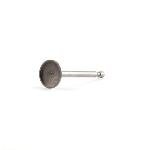 Briggs & Stratton 795443 Intake Valve