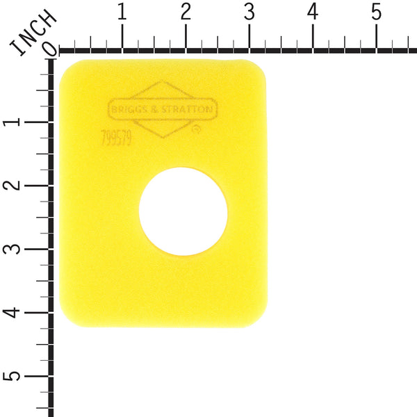 Briggs & Stratton 4248 FILTER (5 X 799579)