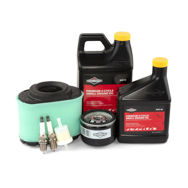 Briggs & Stratton 84002317 Maintenance Kit