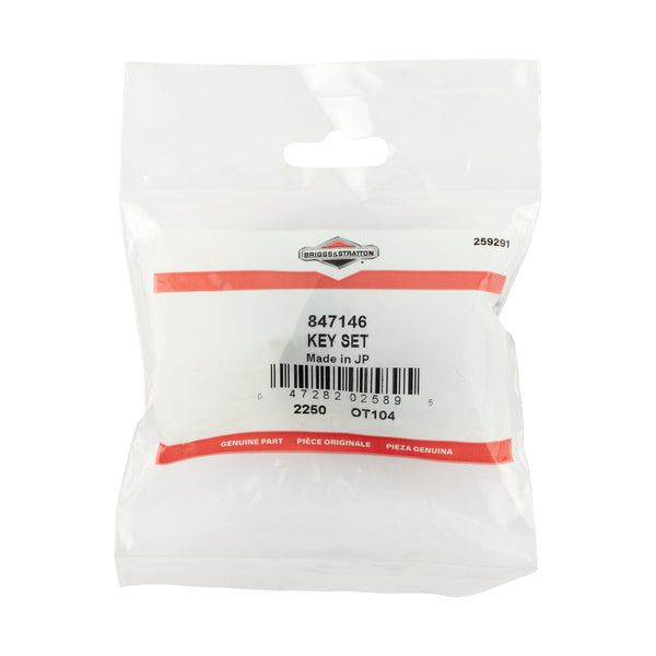 Briggs & Stratton 847146 Key Set