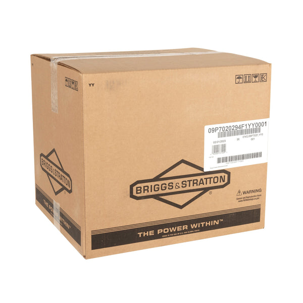 Briggs & Stratton 9P702-0294-F1 Ex Series 5.5 GT 140Cc Vertical Shaft Engine