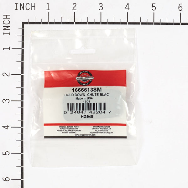 Briggs & Stratton 1666613SM Chute Hold Down Assembly