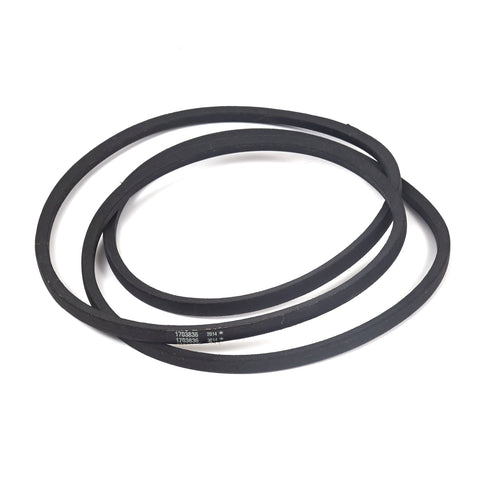 Briggs & Stratton 1703836SM Arbor Drive V-Belt