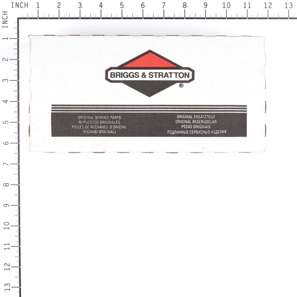 Briggs & Stratton 1724966SM PANEL-INSTRUMENT LIQ