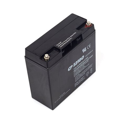 Briggs & Stratton 193043GS Battery