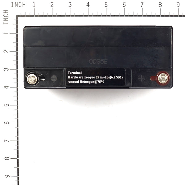 Briggs & Stratton 193043GS Battery