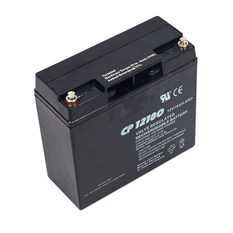 Briggs & Stratton 193463GS Battery