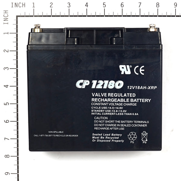 Briggs & Stratton 193463GS Battery