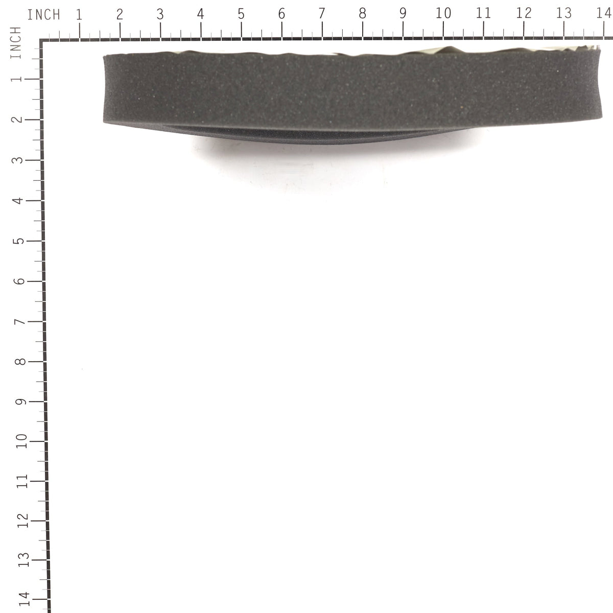 Briggs & Stratton 199629GS Foam Seal