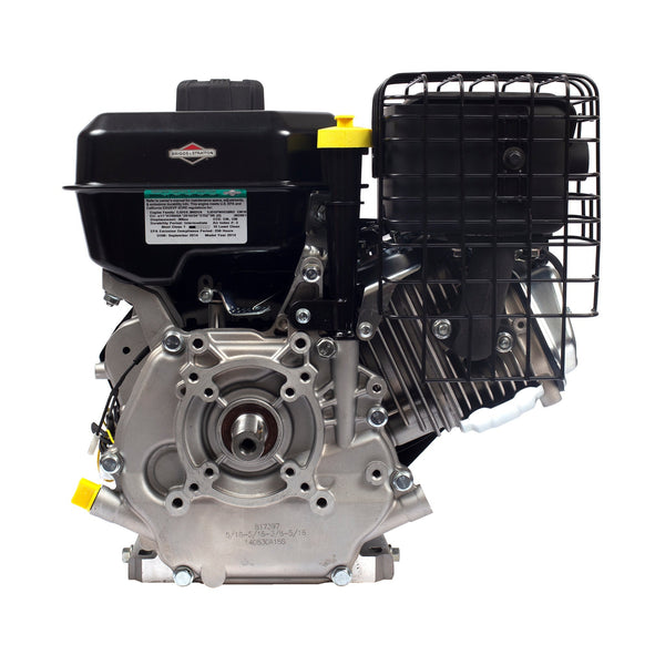 Briggs & Stratton 19N132-0055-F1 XR Series 10 HP 306cc Horizontal Shaft Engine
