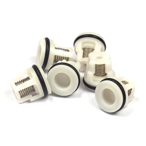 Briggs & Stratton 200344GS Check Valve Kit