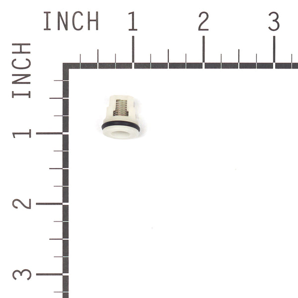 Briggs & Stratton 200344GS Check Valve Kit