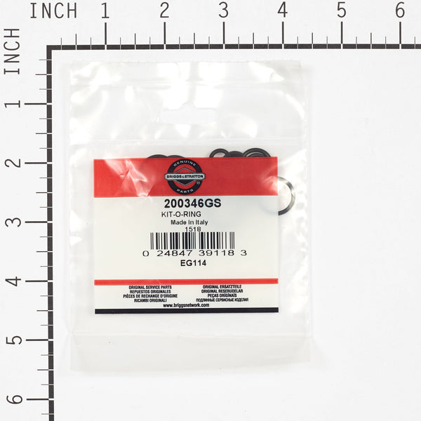 Briggs & Stratton 200346GS O-Ring Kit