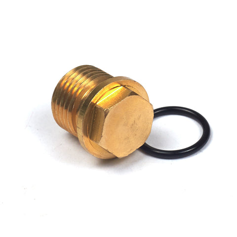 Briggs & Stratton 201495GS Plug