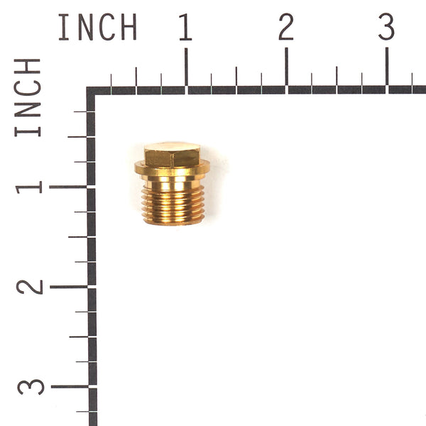Briggs & Stratton 201495GS Plug