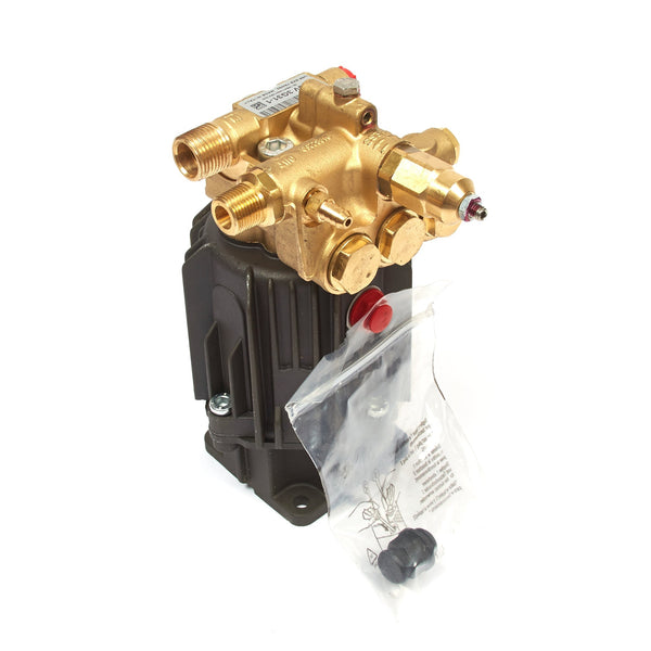 Briggs & Stratton 202005GS Pump