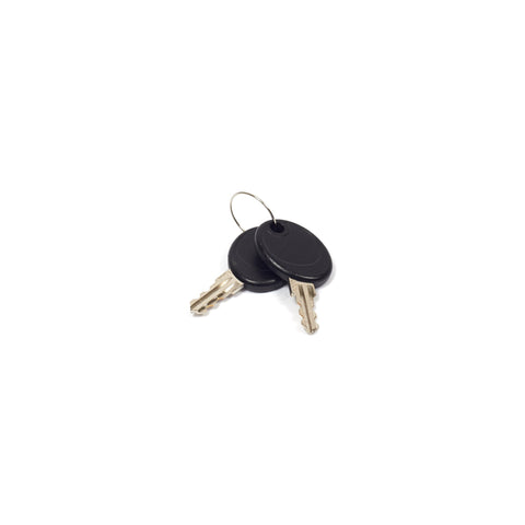 Briggs & Stratton 207652GS Latch Key