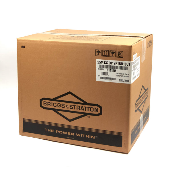 Briggs & Stratton 25M137-0019-F1 Professional Snow Series  21.0 GT 420cc Horizontal Shaft Engine