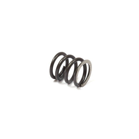 Briggs & Stratton 26826 Valve Spring