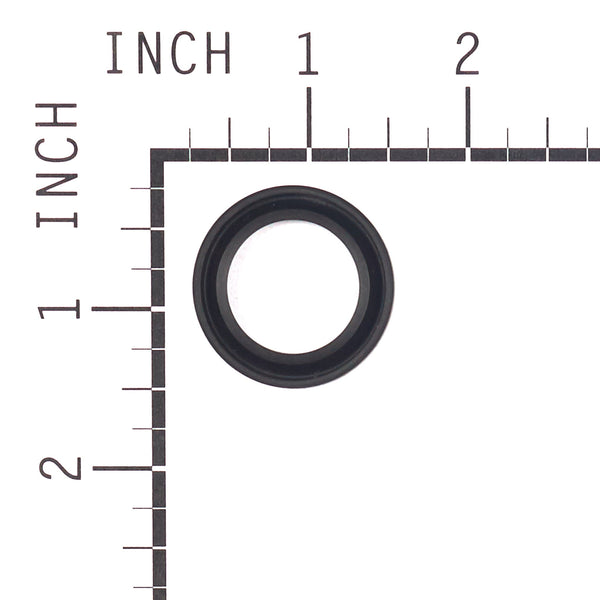 Briggs & Stratton 299819S Oil Seal