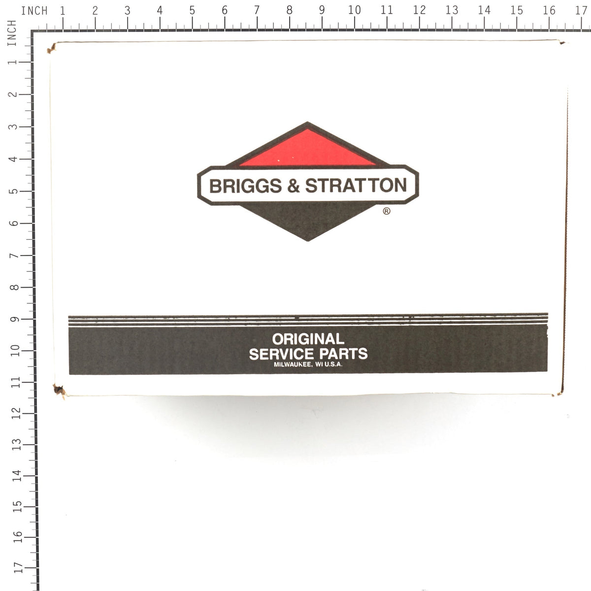 Briggs & Stratton 311553GS Pump