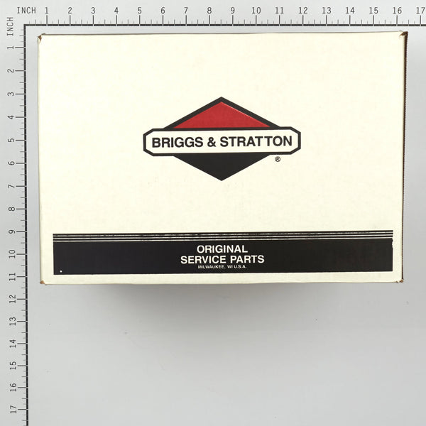 Briggs & Stratton 311966GS Pump