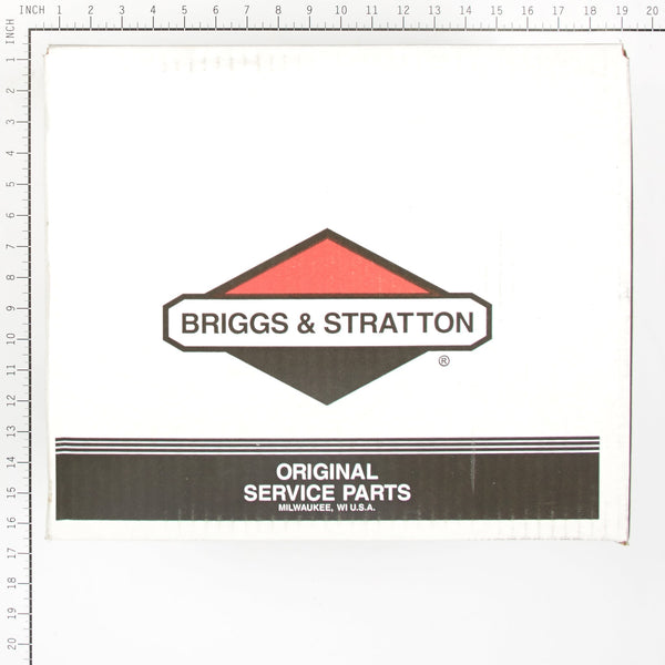 Briggs & Stratton 314441GS Pump