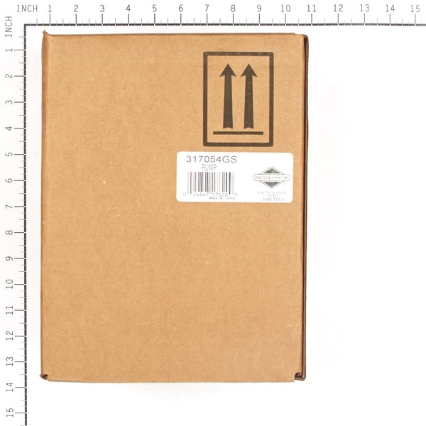 Briggs & Stratton 317054GS Pump