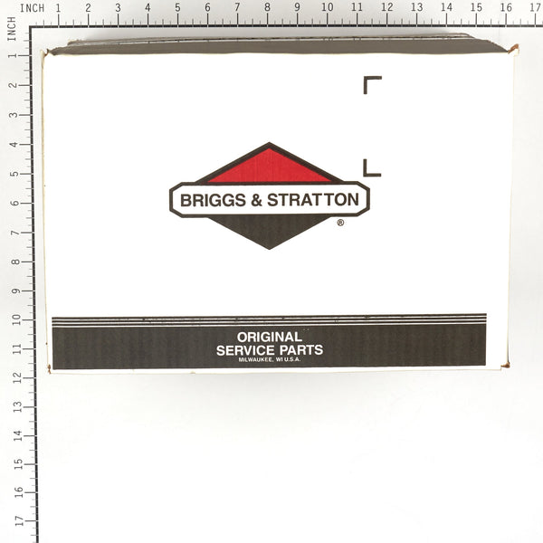 Briggs & Stratton 317142GS Pump