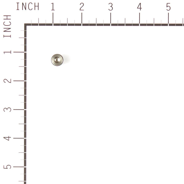 Briggs & Stratton 317897GS Check Valve Kit