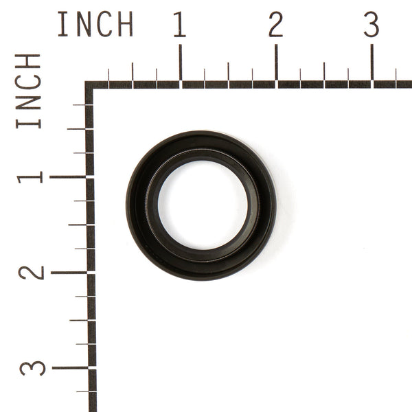 Briggs & Stratton 391485 Oil Seal
