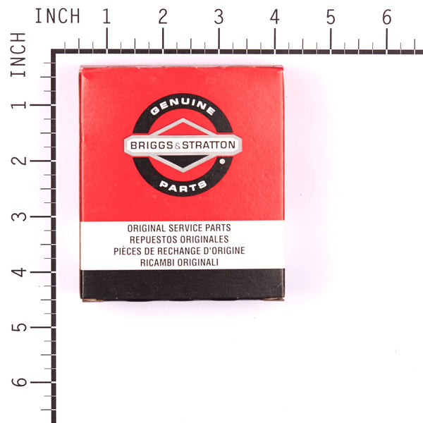 Briggs & Stratton 394693 Carburetor Overhaul Kit