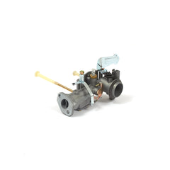 Carburatore Per Motore Briggs & Stratton 5 HP Serie 130200/133200 – 397135 – Iridescentgarden