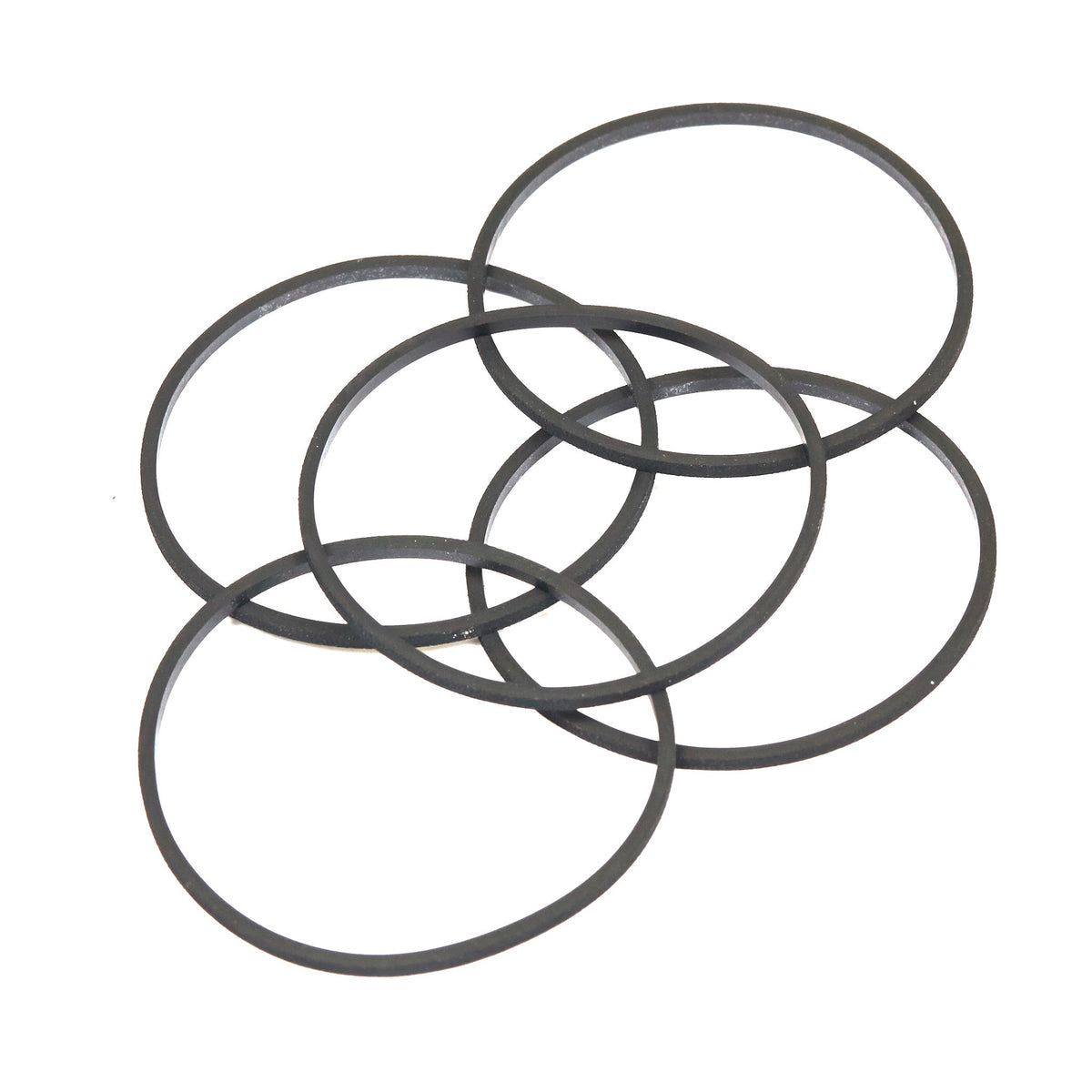 Briggs & Stratton 4202 Gasket (5 x 281165S)