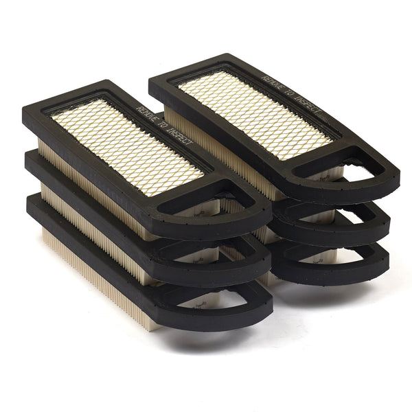 Briggs & Stratton 4214 6-Pack Air Filters (6 x 794422)