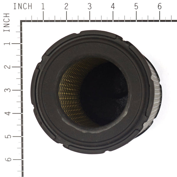 Briggs & Stratton 4235 FILTER (4 X 841497)