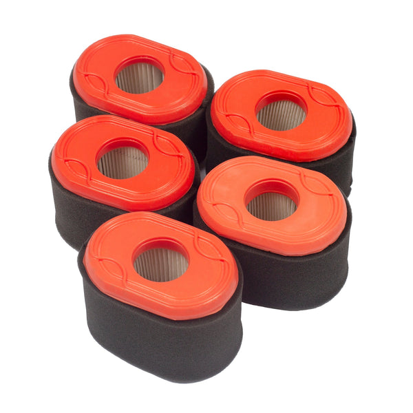 Briggs & Stratton 4238 5-Pack Air Filters (5 x 796970)
